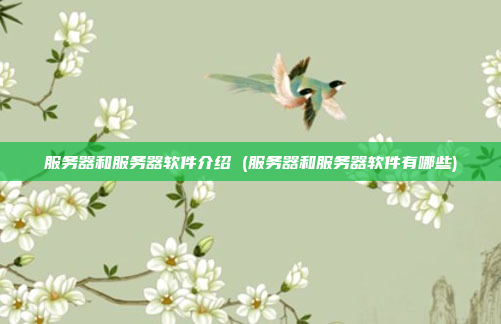 服务器和服务器软件介绍 (服务器和服务器软件有哪些)