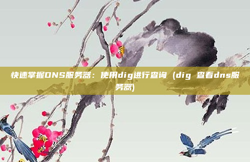 快速掌握DNS服务器:使用dig进行查询 (dig 查看dns服务器)