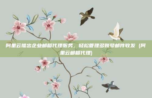 阿里云推出企业邮箱代理服务,轻松管理多账号邮件收发 (阿里云邮箱代理)