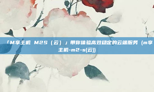 「M享主机 M2S(云)」带你体验高效稳定的云端服务 (m享主机-m2-s(云))