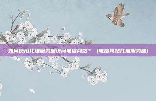 如何使用代理服务器访问电信网站? (电信网站代理服务器)