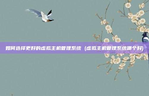 如何选择更好的虚拟主机管理系统 (虚拟主机管理系统哪个好)