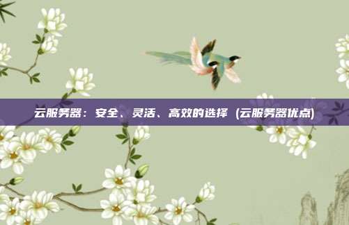 云服务器:安全、灵活、高效的选择 (云服务器优点)