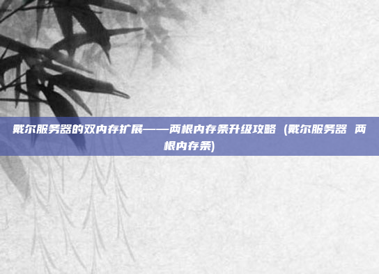 戴尔服务器的双内存扩展——两根内存条升级攻略 (戴尔服务器 两根内存条)