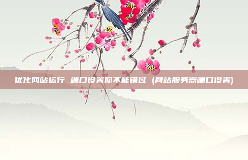 优化网站运行 端口设置你不能错过 (网站服务器端口设置)
