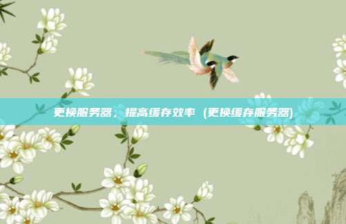 更换服务器,提高缓存效率 (更换缓存服务器)
