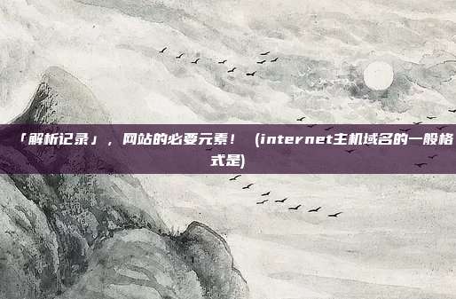 「解析记录」,网站的必要元素! (internet主机域名的一般格式是)