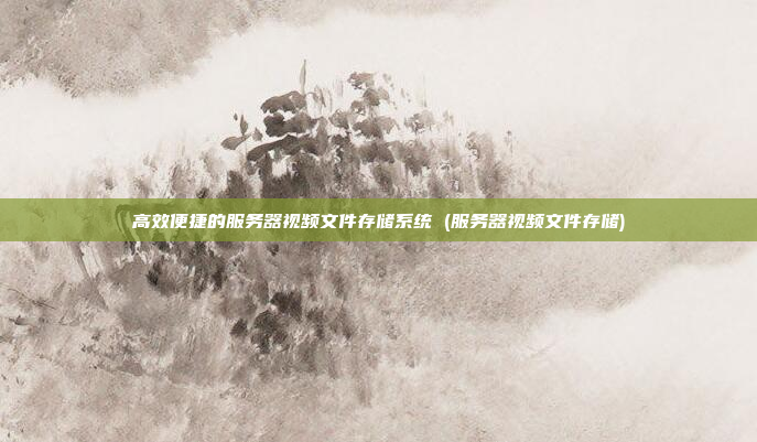 高效便捷的服务器视频文件存储系统 (服务器视频文件存储)