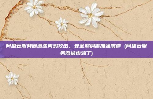 阿里云服务器遭遇肉鸡攻击,安全漏洞需加强防御 (阿里云服务器被肉鸡了)