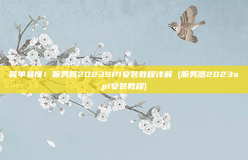 简单易懂!服务器2023SP1安装教程详解 (服务器2023sp1安装教程)