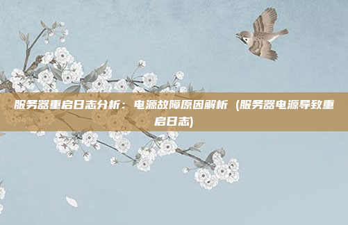 服务器重启日志分析:电源故障原因解析 (服务器电源导致重启日志)