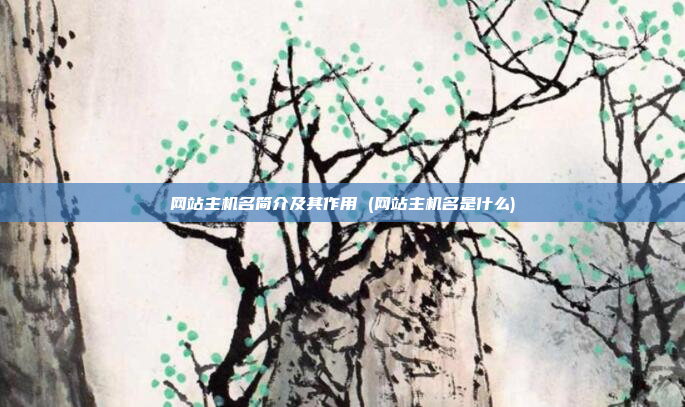 网站主机名简介及其作用 (网站主机名是什么)
