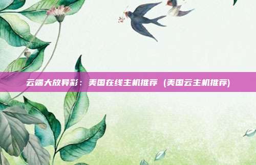 云端大放异彩:美国在线主机推荐 (美国云主机推荐)