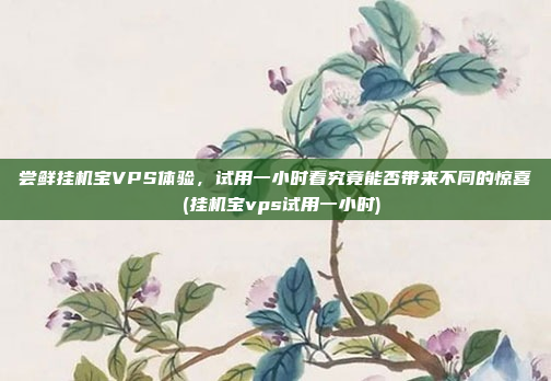尝鲜挂机宝VPS体验,试用一小时看究竟能否带来不同的惊喜 (挂机宝vps试用一小时)