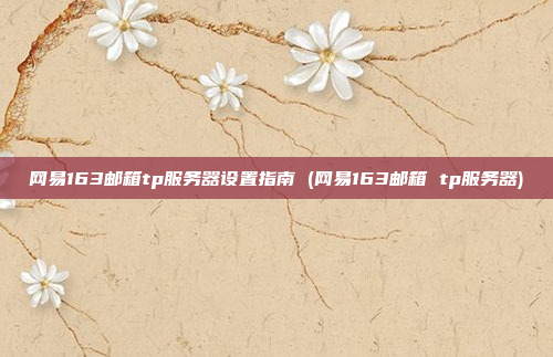 网易163邮箱tp服务器设置指南 (网易163邮箱 tp服务器)