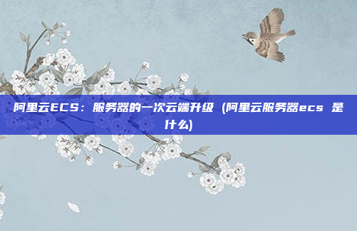 阿里云ECS:服务器的一次云端升级 (阿里云服务器ecs 是什么)
