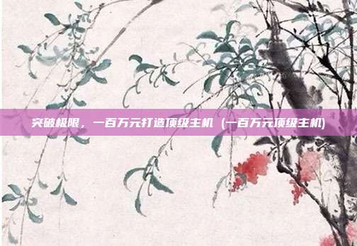 突破极限,一百万元打造顶级主机 (一百万元顶级主机)