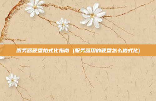 服务器硬盘格式化指南 (服务器用的硬盘怎么格式化)