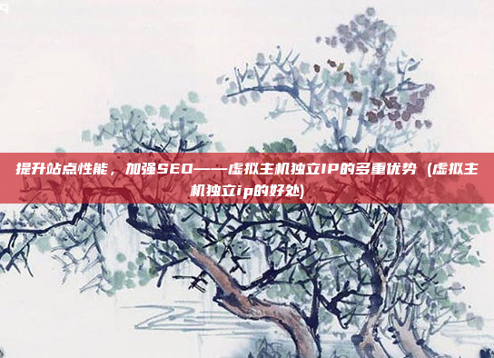 提升站点性能,加强SEO——虚拟主机独立IP的多重优势 (虚拟主机独立ip的好处)