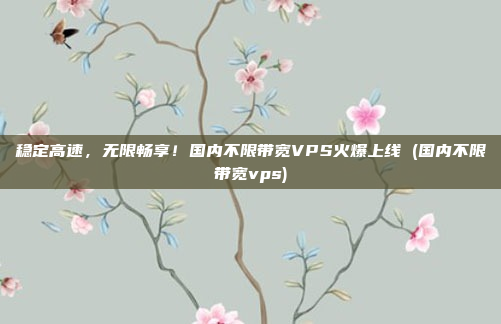 稳定高速，无限畅享！国内不限带宽VPS火爆上线 (国内不限带宽vps)