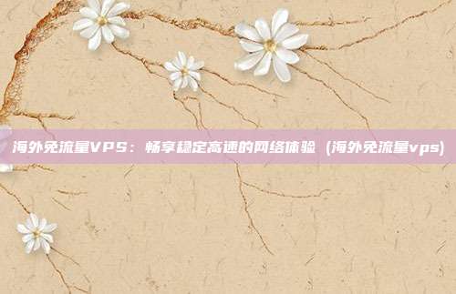 海外免流量VPS:畅享稳定高速的网络体验 (海外免流量vps)