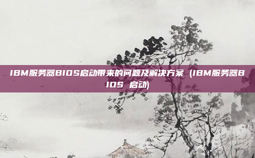 IBM服务器BIOS启动带来的问题及解决方案 (IBM服务器BIOS 启动)