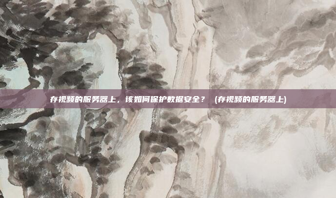 存视频的服务器上，该如何保护数据安全？ (存视频的服务器上)