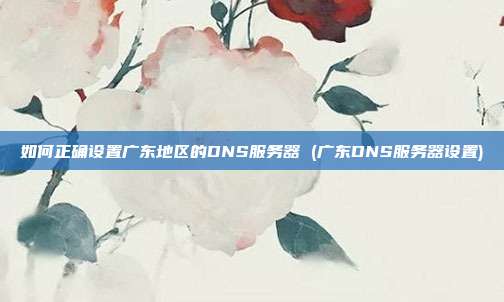 如何正确设置广东地区的DNS服务器 (广东DNS服务器设置)