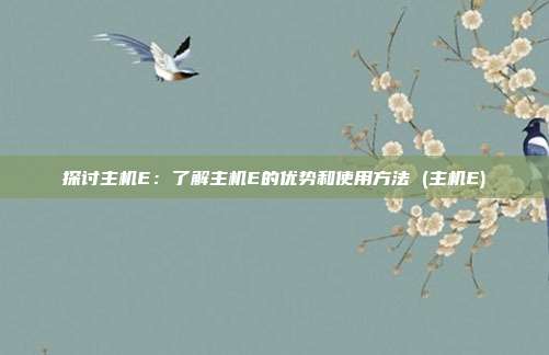 探讨主机E：了解主机E的优势和使用方法 (主机E)