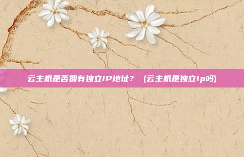 云主机是否拥有独立IP地址? (云主机是独立ip吗)