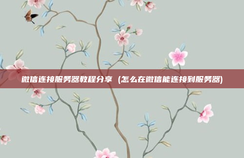 微信连接服务器教程分享 (怎么在微信能连接到服务器)