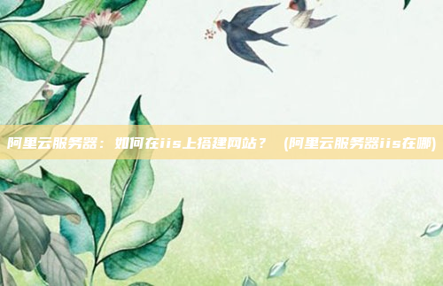阿里云服务器：如何在iis上搭建网站？ (阿里云服务器iis在哪)