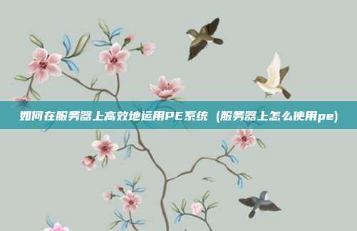 如何在服务器上高效地运用PE系统 (服务器上怎么使用pe)