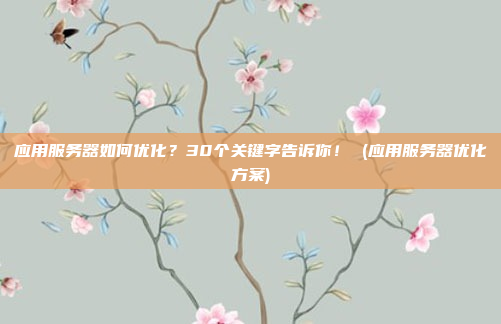 应用服务器如何优化？30个关键字告诉你！ (应用服务器优化方案)