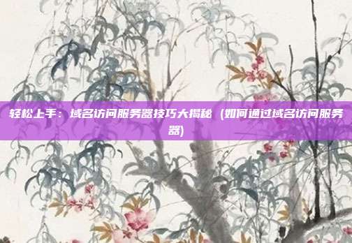 轻松上手:域名访问服务器技巧大揭秘 (如何通过域名访问服务器)