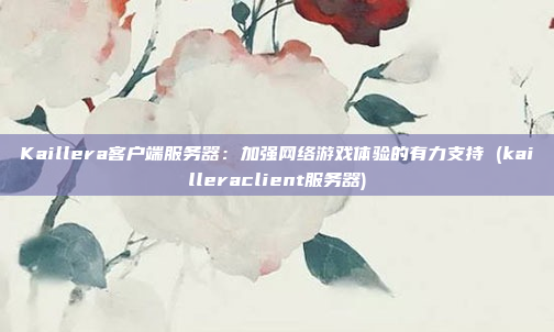 Kaillera客户端服务器：加强网络游戏体验的有力支持 (kailleraclient服务器)