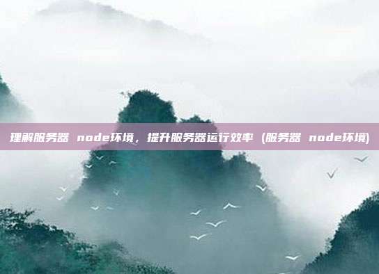 理解服务器 node环境，提升服务器运行效率 (服务器 node环境)