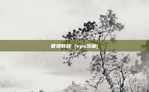 管理教程 (vps流量)