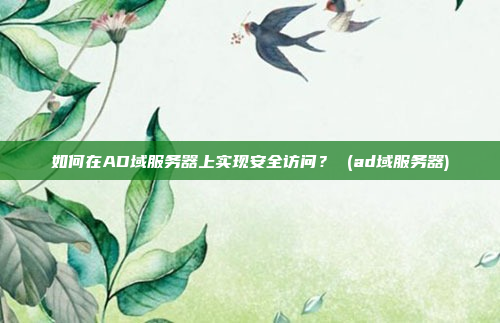 如何在AD域服务器上实现安全访问？ (ad域服务器)