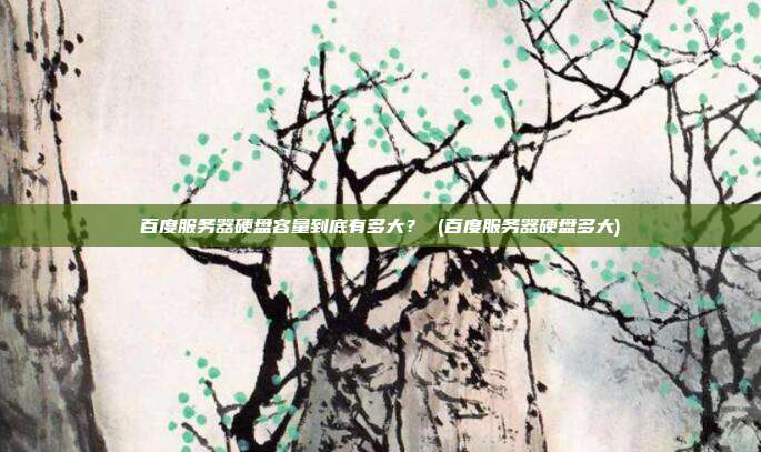 百度服务器硬盘容量到底有多大？ (百度服务器硬盘多大)