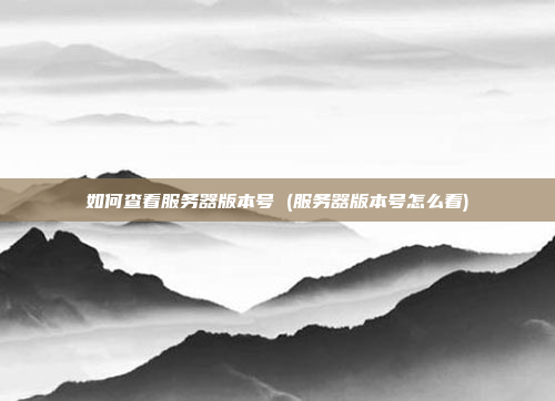 如何查看服务器版本号 (服务器版本号怎么看)