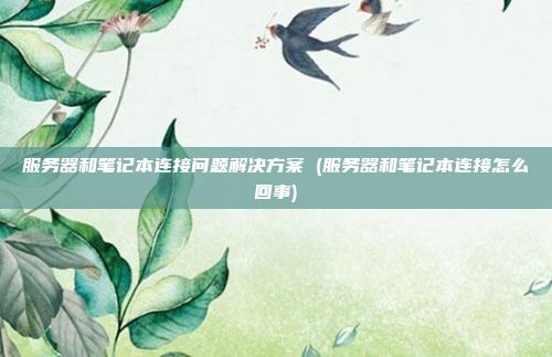 服务器和笔记本连接问题解决方案 (服务器和笔记本连接怎么回事)