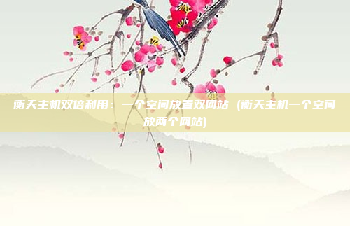 衡天主机双倍利用:一个空间放置双网站 (衡天主机一个空间放两个网站)