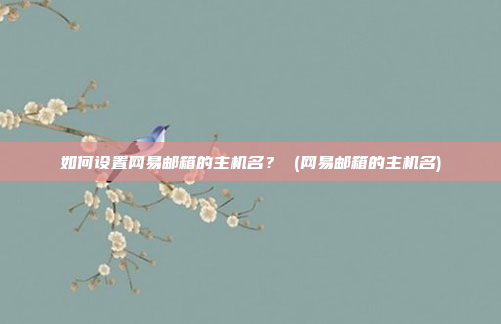 如何设置网易邮箱的主机名？ (网易邮箱的主机名)