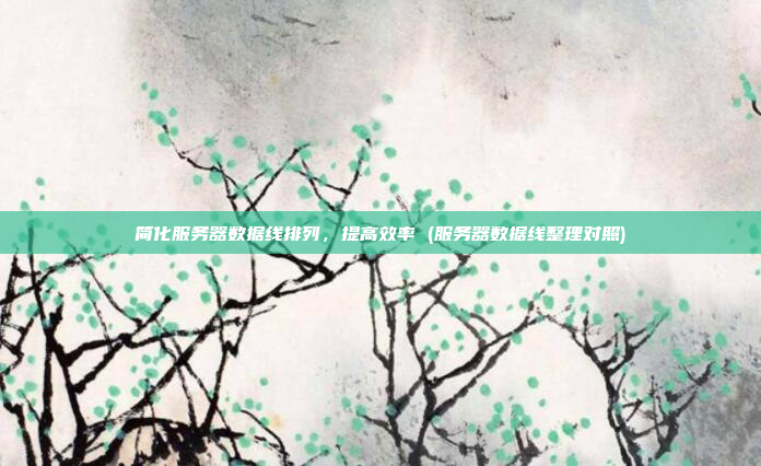 简化服务器数据线排列，提高效率 (服务器数据线整理对照)