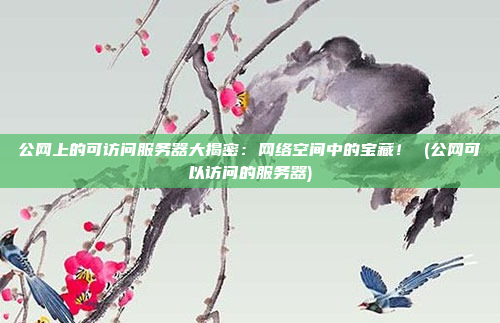 公网上的可访问服务器大揭密：网络空间中的宝藏！ (公网可以访问的服务器)