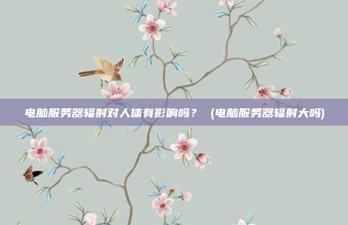 电脑服务器辐射对人体有影响吗？ (电脑服务器辐射大吗)