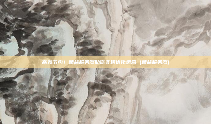高效节约！精益服务器助你实现优化运营 (精益服务器)