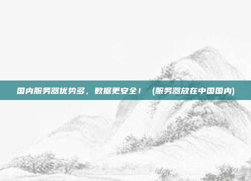 国内服务器优势多，数据更安全！ (服务器放在中国国内)
