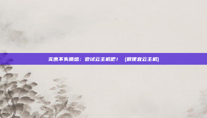 实惠不失质感：尝试云主机吧！ (很便宜云主机)